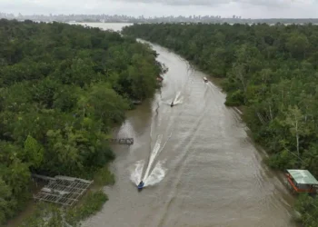 Turismo pós-COP30 prejudica pesca artesanal no Combu