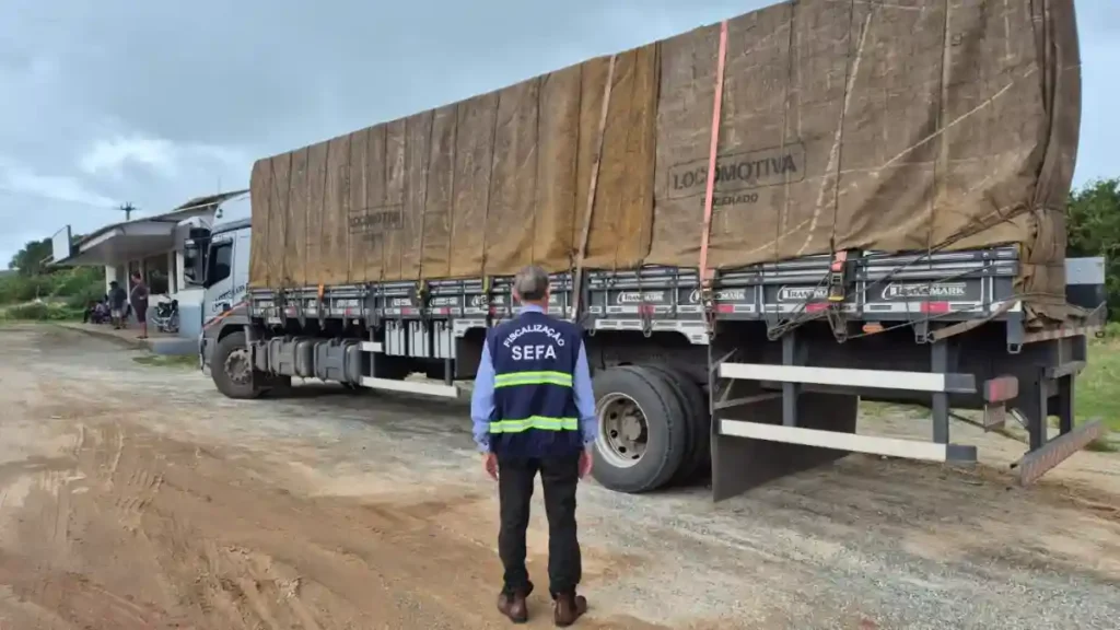 Sefa apreende carga irregular de R$ 280 mil no Pará