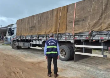 Sefa apreende carga irregular de R$ 280 mil no Pará